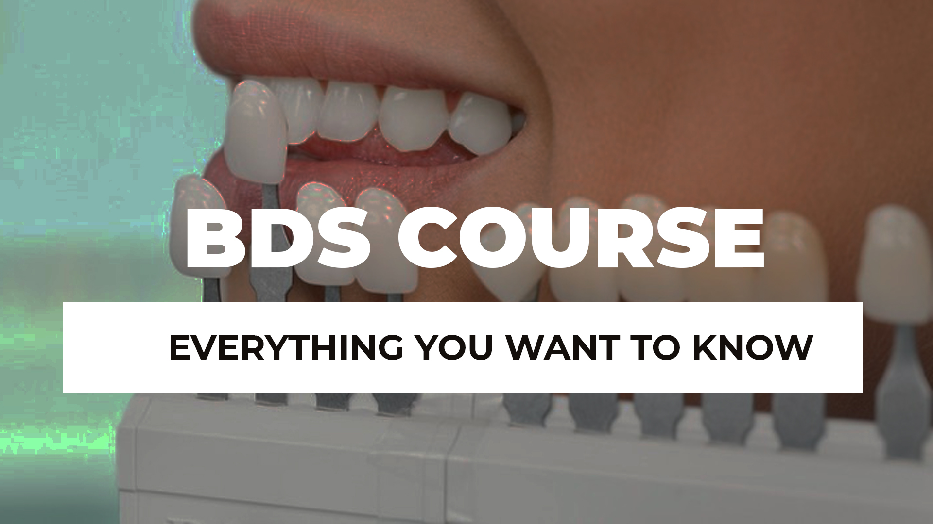 BDS Course Details in India